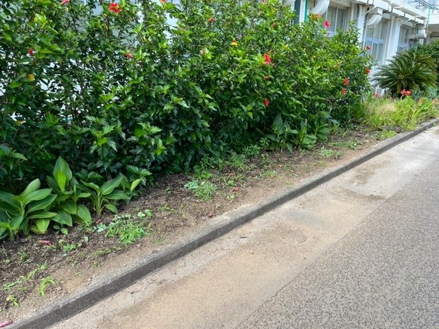 1年　花壇1